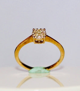 9 Carat Yellow Gold Diamond Ring R 125063